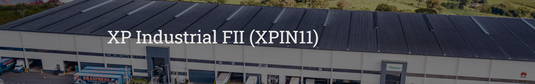 xpin11